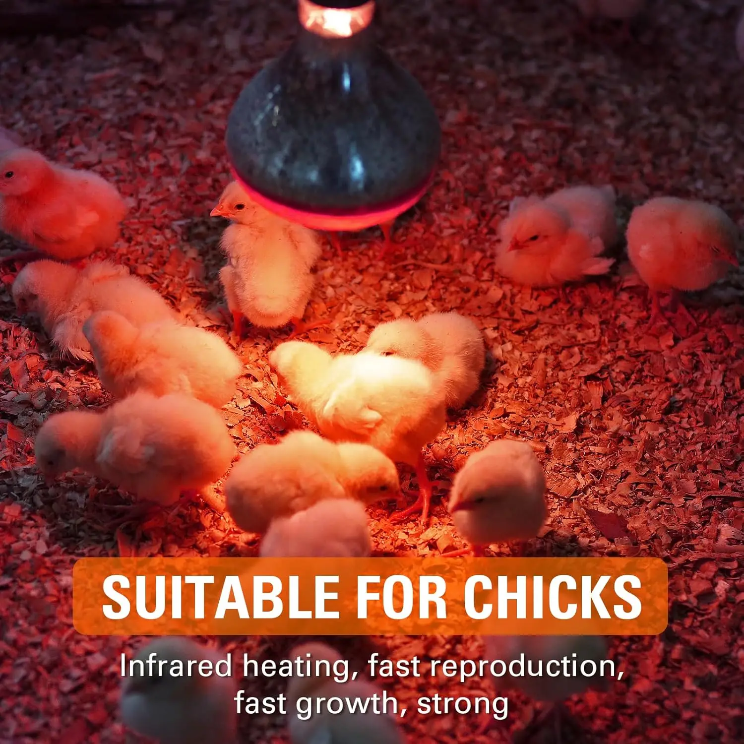 2 قطعة لمبة الحرارة بالأشعة تحت الحمراء ، 250 واط 110 فولت الزواحف الأشعة تحت الحمراء مصباح الحرارة لالثلاب البرمائية السلحفاة الملتحية التنين السحلية الفراخ