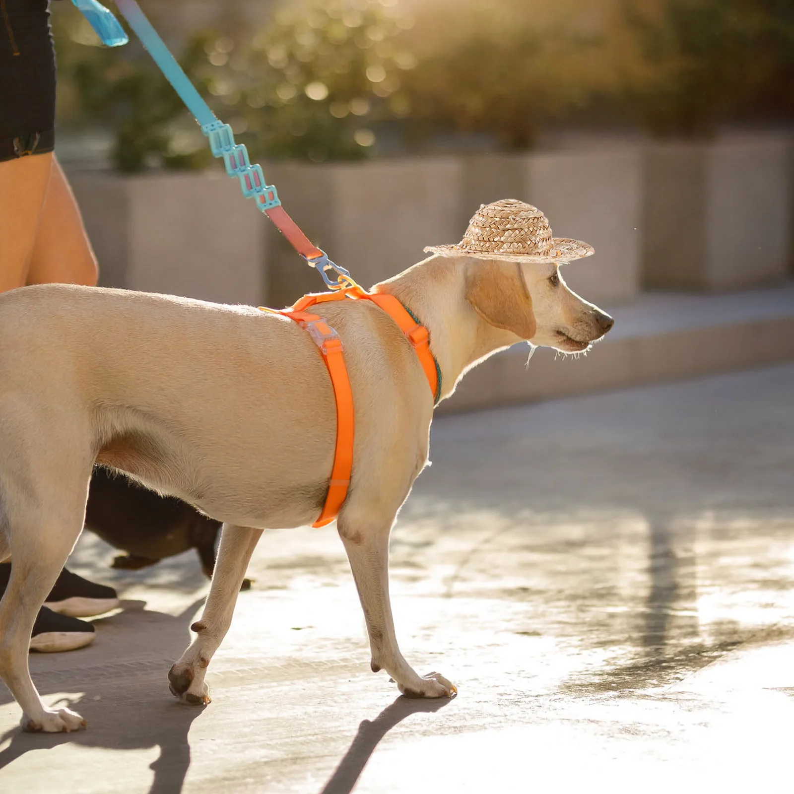 

Pet Sun For Dogs Adjustable Straw Hat Uv Protection Outdoor Beach Garden Use Small Dog Puppy Cats Size Straw Hat Dog