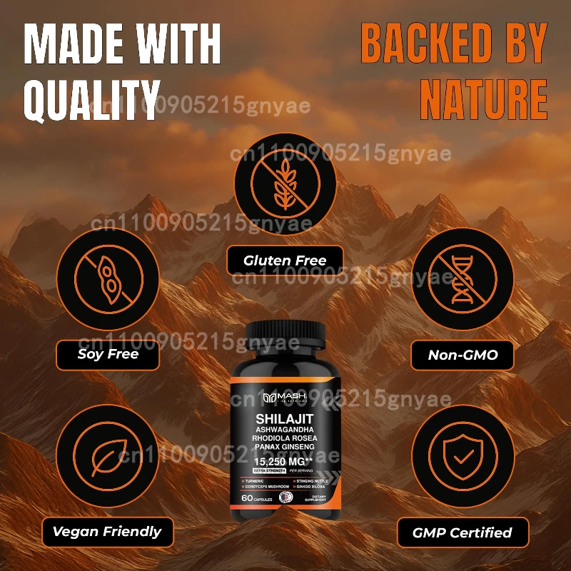 Kapsul Ginseng Ginkgo Biloba K - Ginkgo Biloba Extract ulasan dan harga
