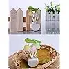 Cogumelo LED Night Light com mudança de cor, lâmpada, plug-in, Sensor