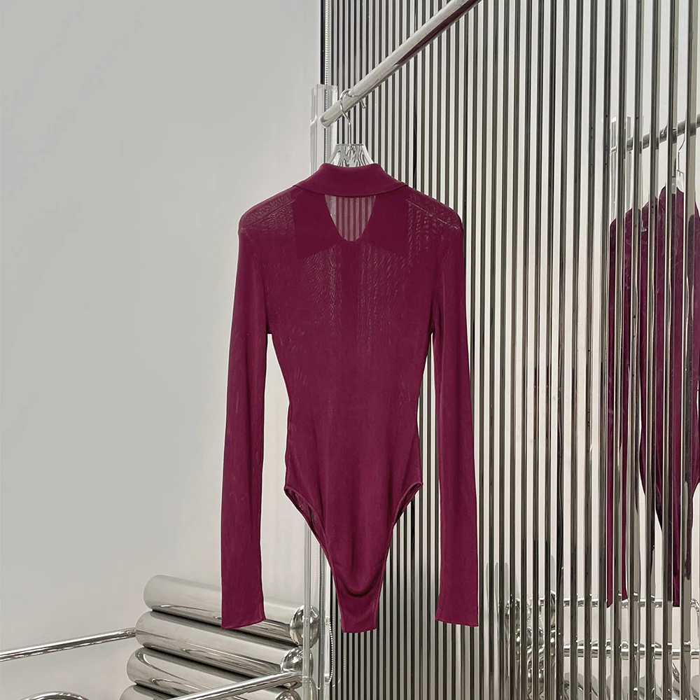 

Women's Sheer Mesh Long Sleeve Bodysuit Turn Down Collar Gold Button Slim Fit Sexy Club Party Jumpsuit New Spring 2026 Y2K