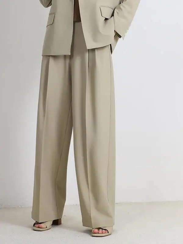 

Jane Expr Casual Wide Leg Suit Pants Loose Fit High Waist Straight Leg Trousers Spring Collection Women's Faion