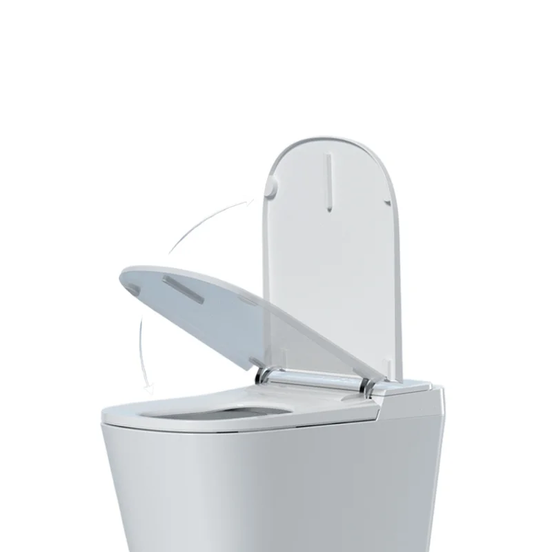 Pedestal Ring Smart Toilet No Pressure Limit Large Size Instant Heating Integrated Electric Toilet
