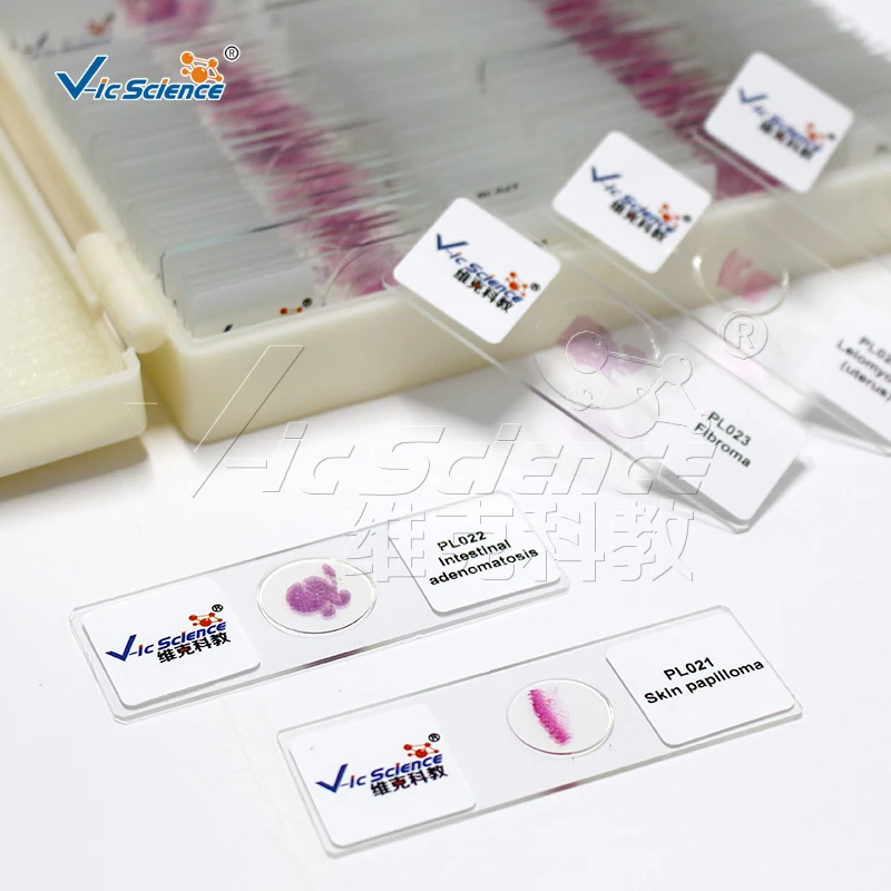 

Teaching experiments 100pcs pathology Microscope prepared slides