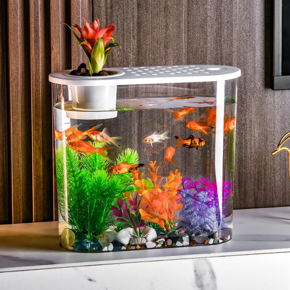 Plastic Transparent Belt Cover Oval Soil and Water Culture Fish Tank Living Room Office Desktop Small Decoration Goldfish Tank