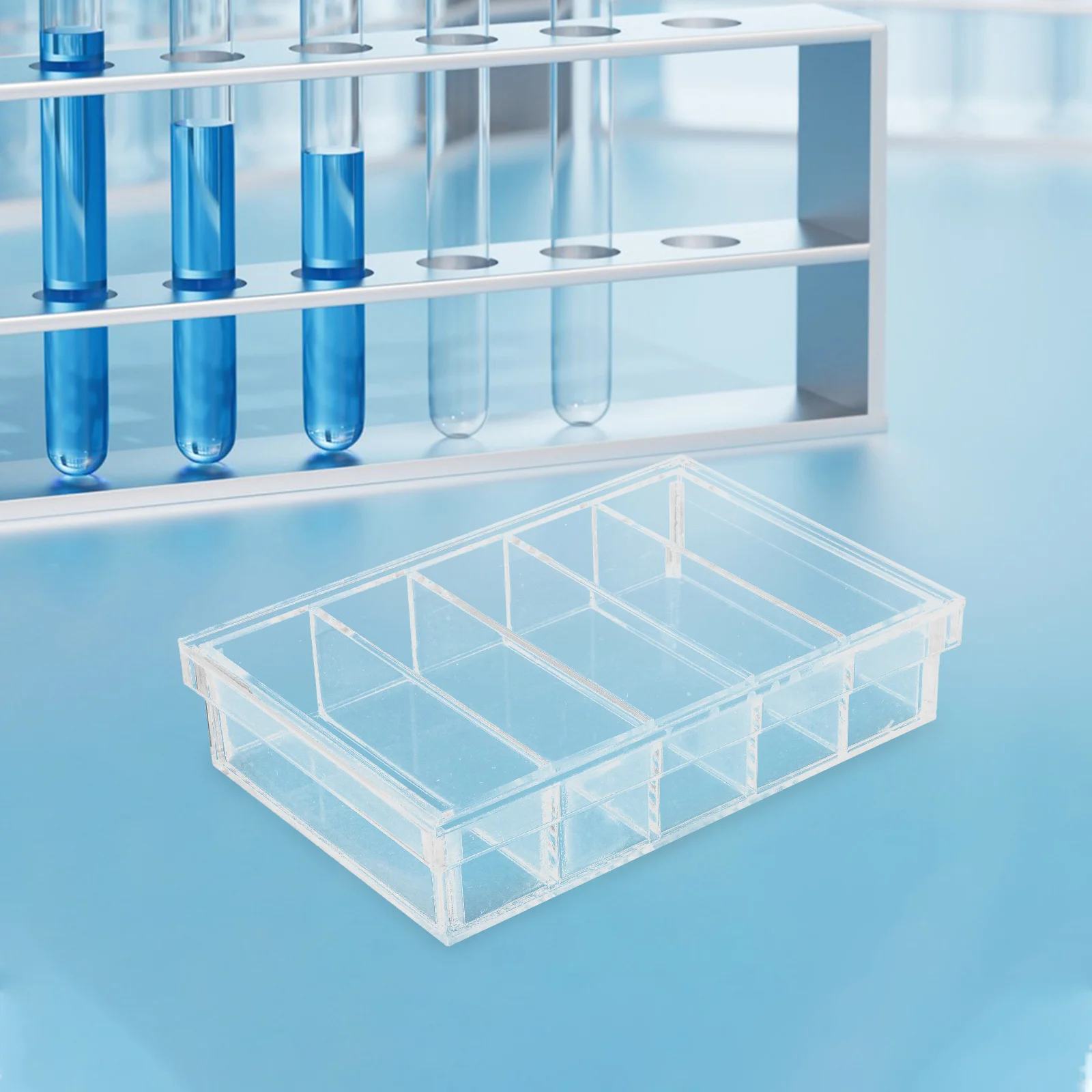 Transparent Acrylic 5-Compartment Incubation Box For Laboratory School Science Experiments Breeding Isolation Fish Gecko