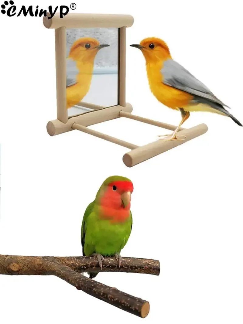 Bird Mirror Wooden Interactive Play Toy With Perch  Small Parrot Budgies Parakeet Cockatiel Conure Lovebird Cage Accessories