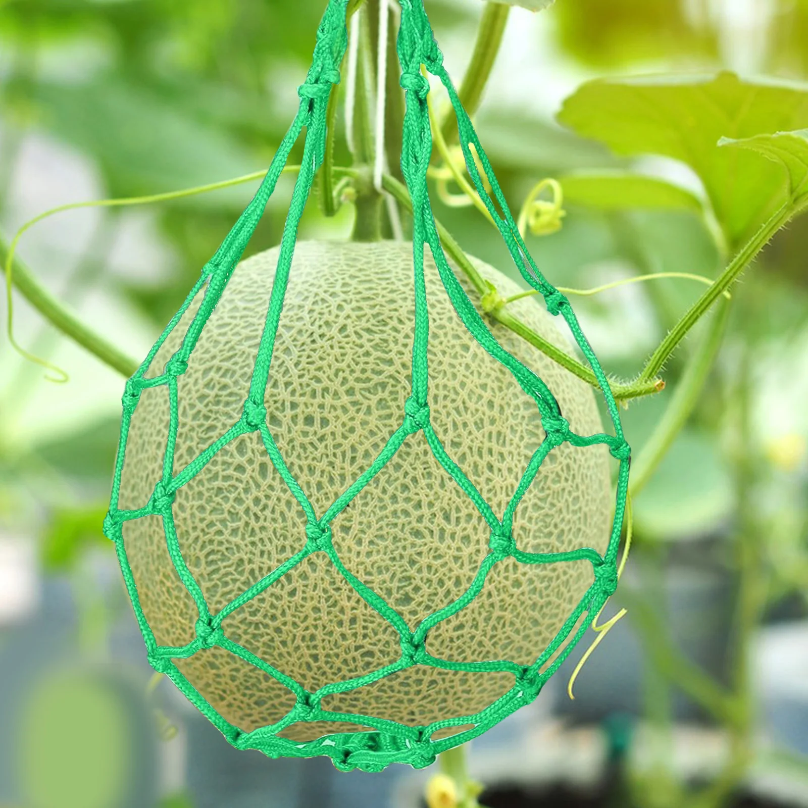 6 قطعة مهد البطيخ لحديقة البطيخ أرجوحة صافي دعم الفاكهة الرافعة Cantaloupe حقيبة الفضاء توفير دائم شبكة تعريشة النبات #2