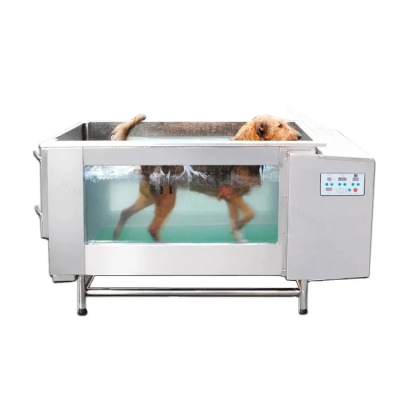 Maya Medical Price Easy Operating Hydrotherapy Dog Treadmill Veterinary