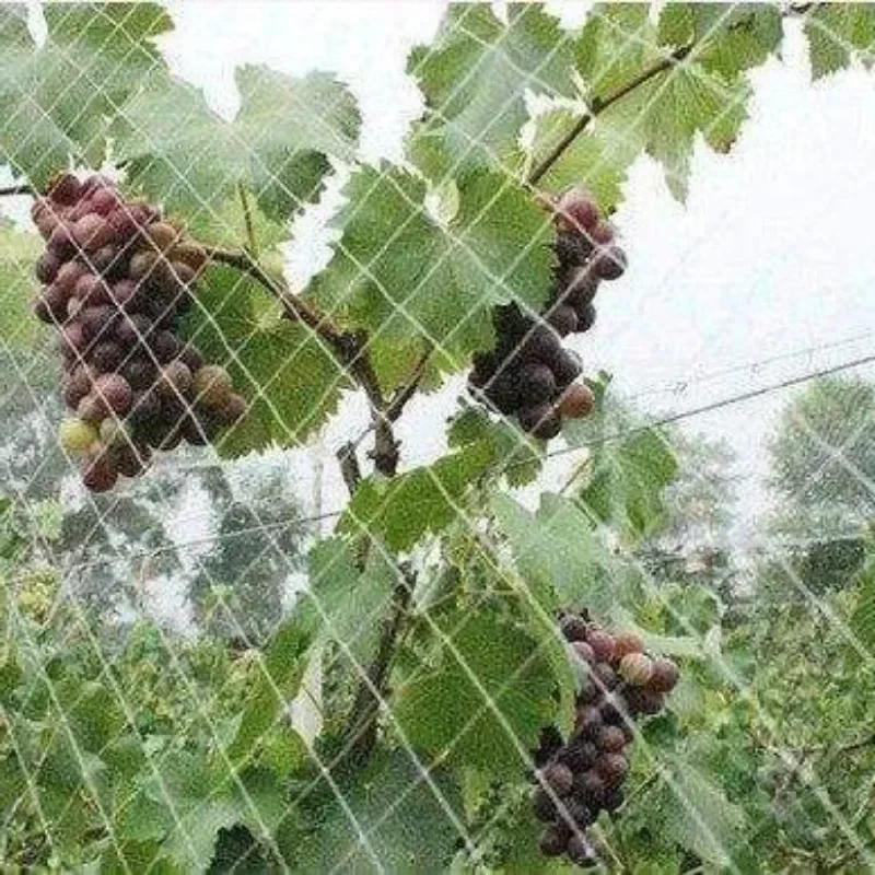 1pcs Blueberry Garden Fence Netting Anti-Bird Protection Mesh Squirrel Prevention for Fruits & Vegetables Agricultural Use