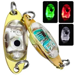 Señuelo LED ALASICKA con ojo luminoso – Atrae peces nocturnos