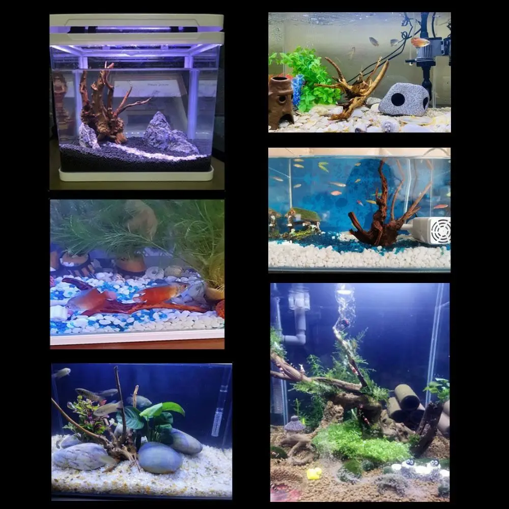 Thumbnail 3 - #33 Trending Pet Bowls Right Now