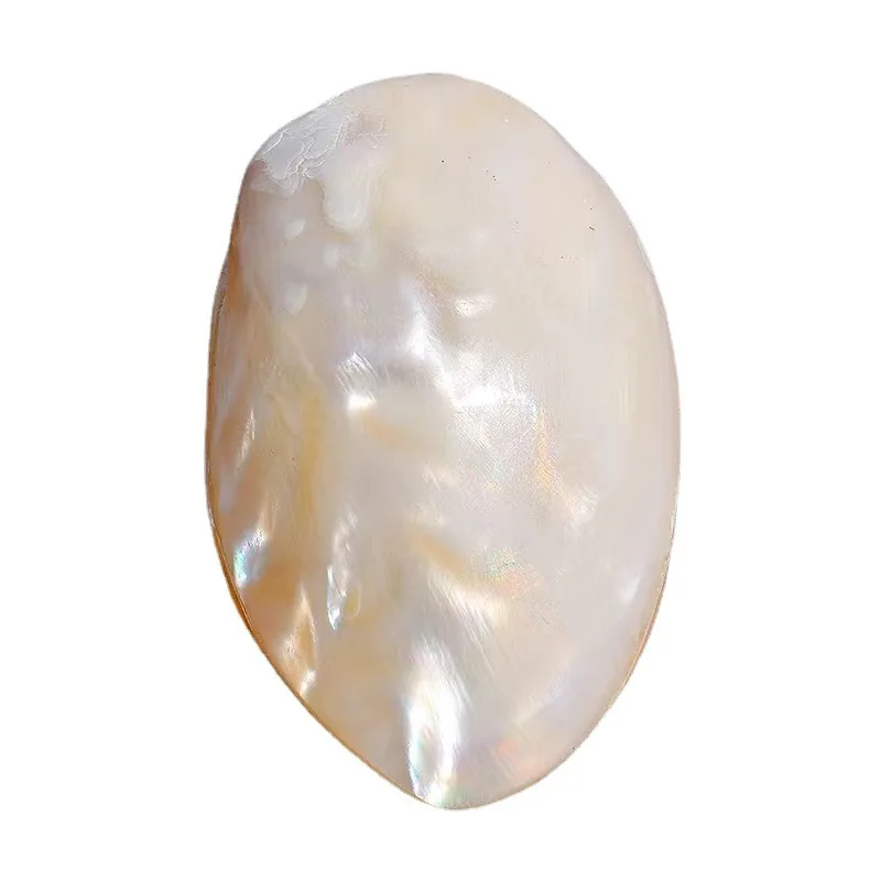 Polished Mother of Pearl Shells Natural White Jade Shell Beach Wedding Decoration for Home Aquarium DIY Jewelry Making Material