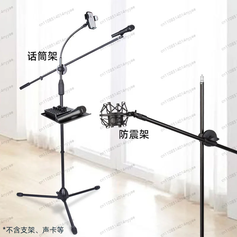 Stage & Studio Boom Mic Stand, Universal Adjustable Floor Stand with Tripod Base, Heavy Duty for Live Performance Singing