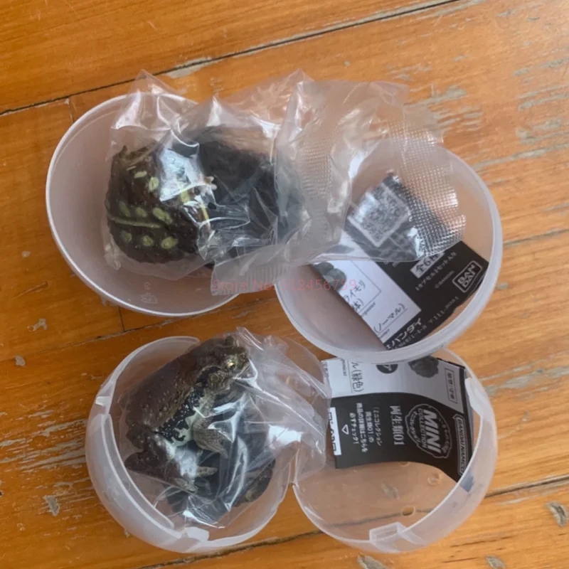 ของแท้จาก Bandai แผนที่ชีวภาพขนาดใหญ่ ชุดสะสมสัตว์ครึ่งบกครึ่งน้ำ 02 ฟิกเกอร์อนิเมะของสะสม โมเดลของเล่นกาชาปอง ของขวัญ
