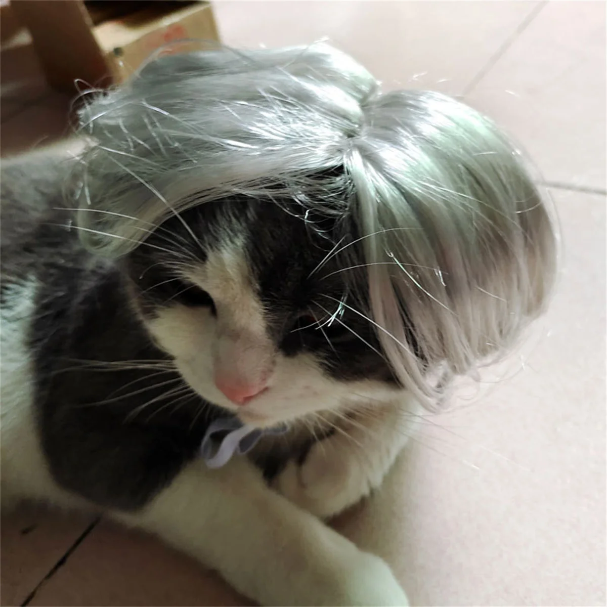 Dog Wig Diy Pet Wig Funny Pet Wigs Cosplay Costume Headgear for Cats Dogs Adjustable Elastic Band Design Diy for Kitten