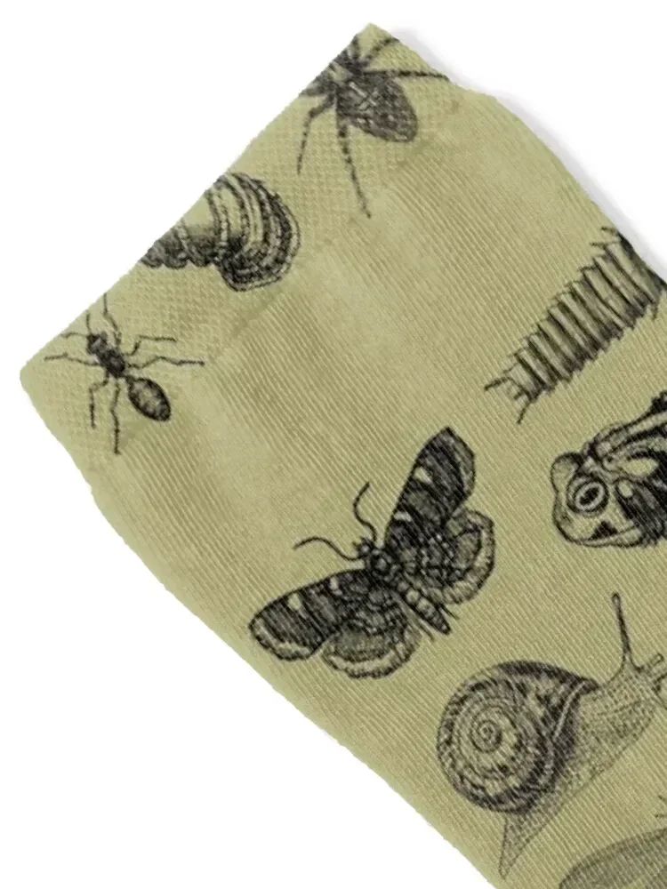 Vintage Biology Nature Lover's Collection: Cute Frog, Mushroom, Snail, and Moth Insects for Science and Natural History En Socks