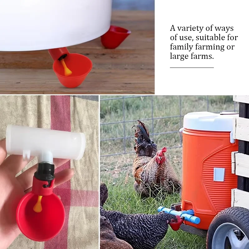 5-50Pcs Chicken Quail Hanging Water Cups Nipple Drinking Bowl Birds Water Feeder Bowl Drinker Cup for Backyard Automatic Poultry