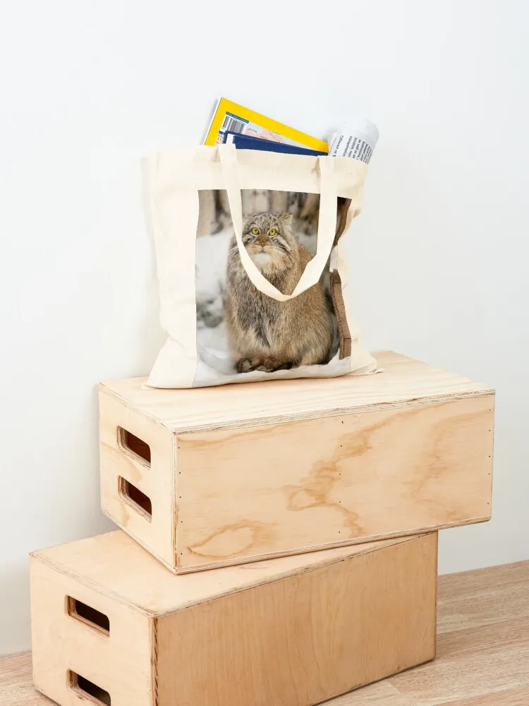 قطة إيما ذا بالاس ينتظر إلى الربيع يأتي حقيبة تسوق قماشية وحقائب مخصصة وحقيبة نسائية