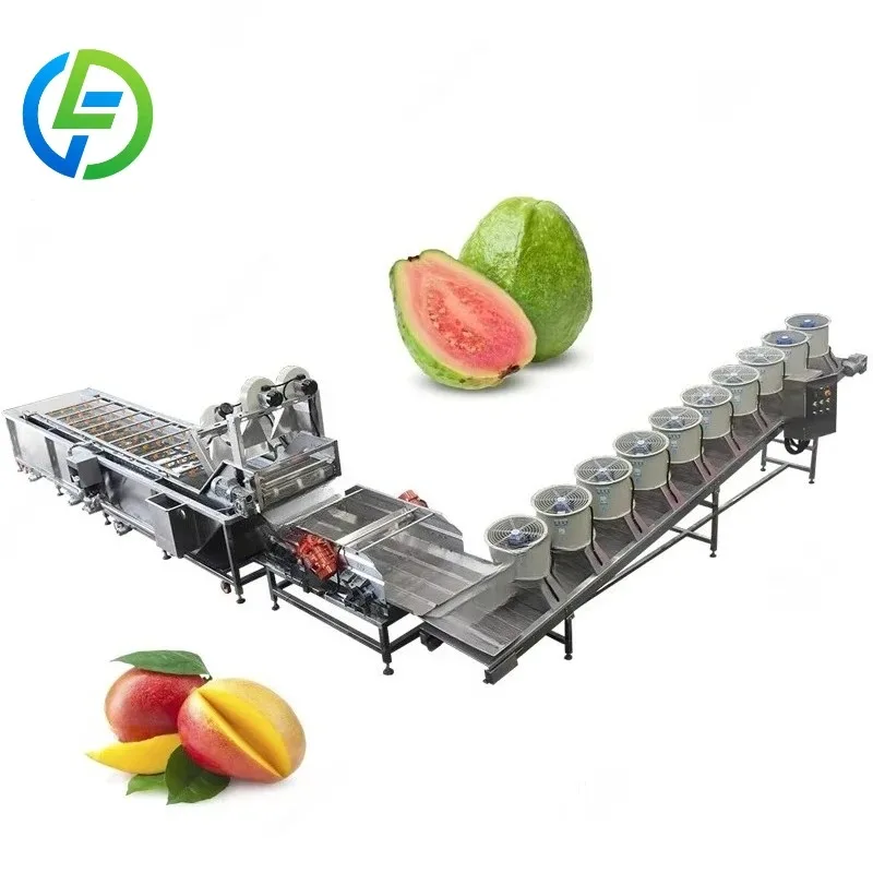 Customized Baby Food Fruit Washer Elevator Salad or Vegetable Washing and Cleaning Machine with Ozone - view 5