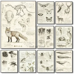 Vintage Old Sketch Studies Art Poster Fox Bird and Deer Sketch Study Canvas Printing Painting Wall Art Home Decoration
