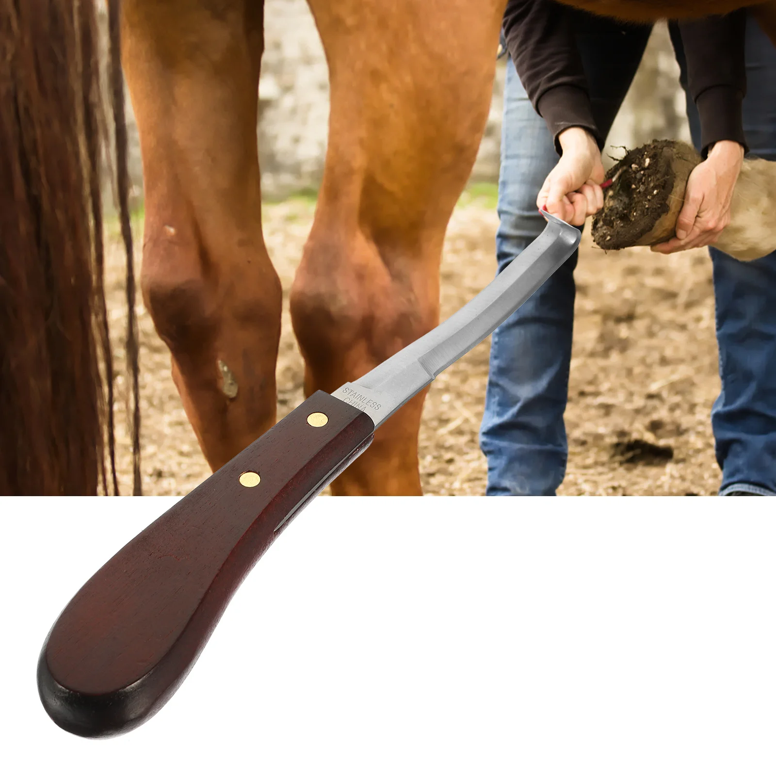 

Durable Hoof Trimmer Stainless Steel Blade Wooden Handle Wear Resistant Professional Hoof Mending Knife Tool Pasture Accessory