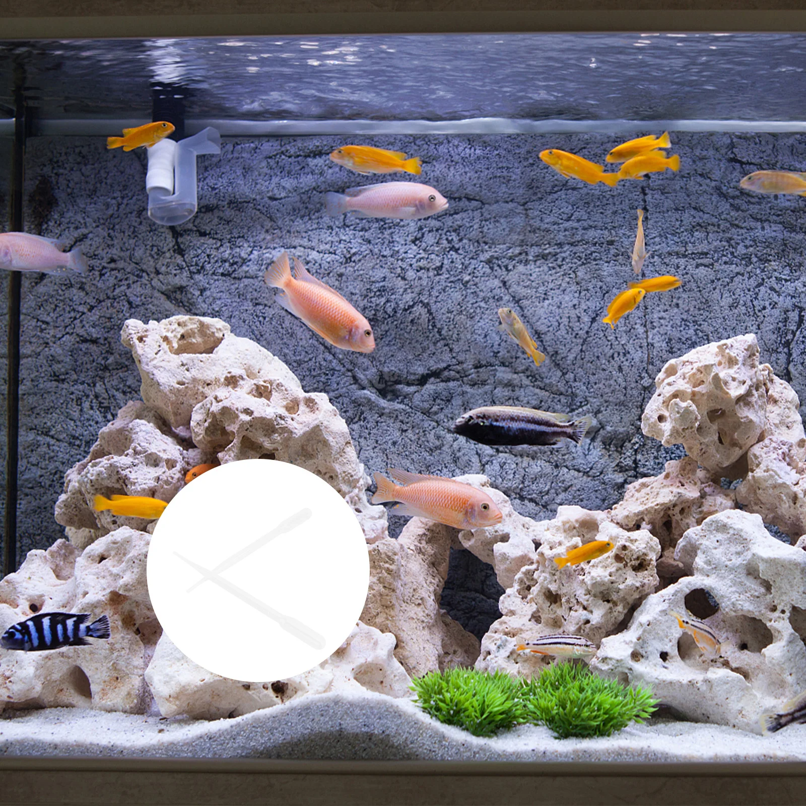 

10pcs Coral Feeder Plastic Tubes Shrimp Liquid Feeders Pet Supplies Aquarium Fish Breeding Home Use