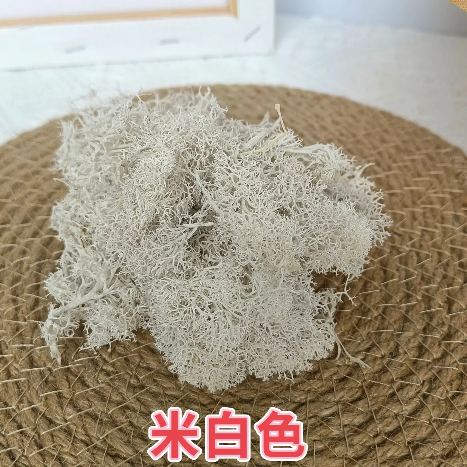 10 gr/beutel Simulation Mini Moos Pflanzen Material für Sand Tisch Landschaft Layout DIY Modell Kit Diorama Zubehör – Detail 11