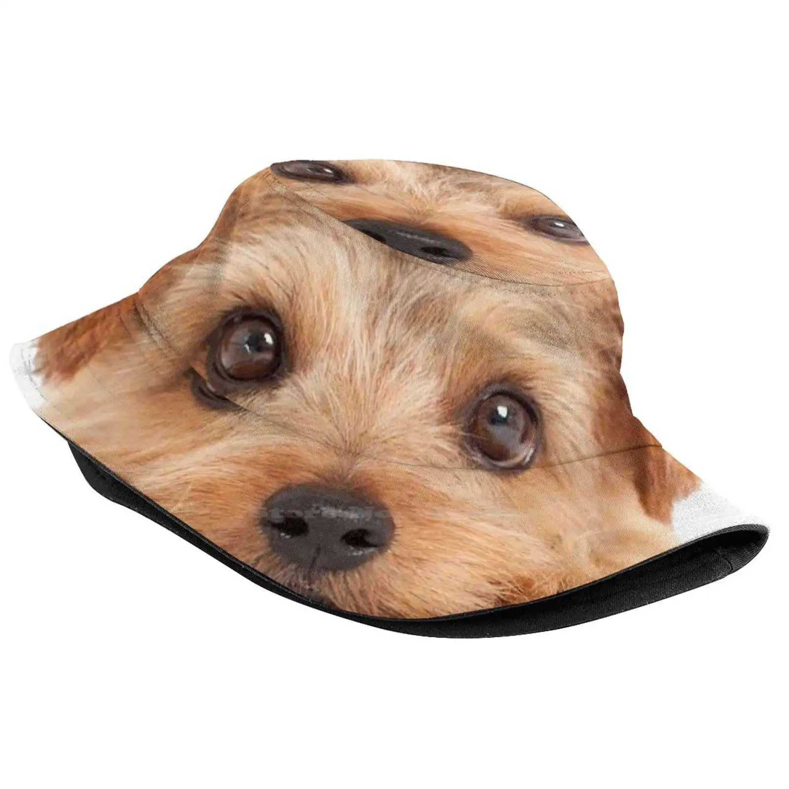 Norfolk Terrier Flat Top Breathable Bucket Hats Norfolk Terrier Pet Dog Animal Twin Bucket Hats