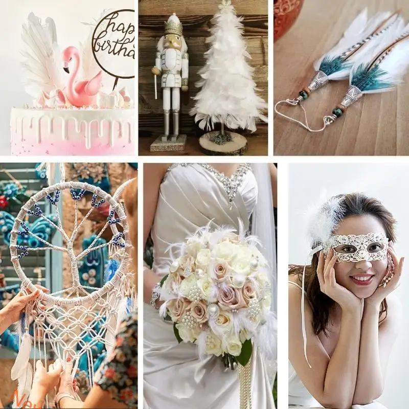 100PCS Craft đầy màu sắc tự nhiên cho thủ công DIY, nghệ thuật, thủ công, ăn thịt, Halloween, đám cưới