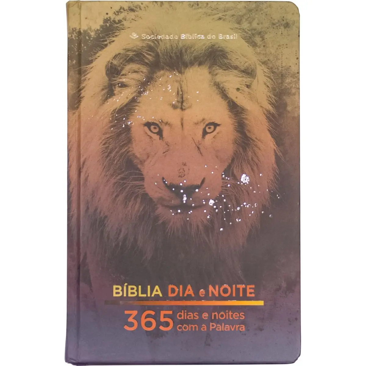 Bible Day and Night 365 Days Hardcover Lion