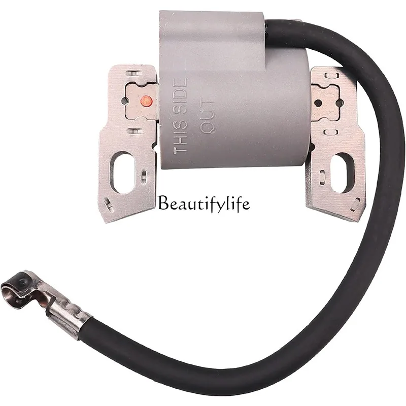 

Accessories 796500 595291 High Voltage Package Ignition Coil 11P902