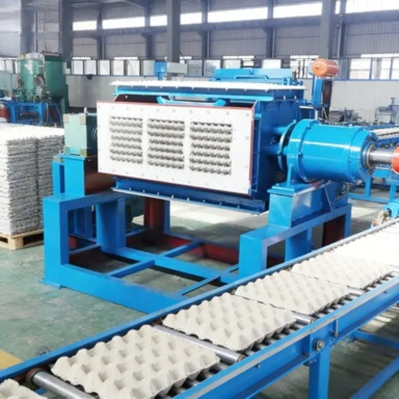 Medium Capacity Egg Tray Production Line 2500pcs/H Low Energy Pulp Molding