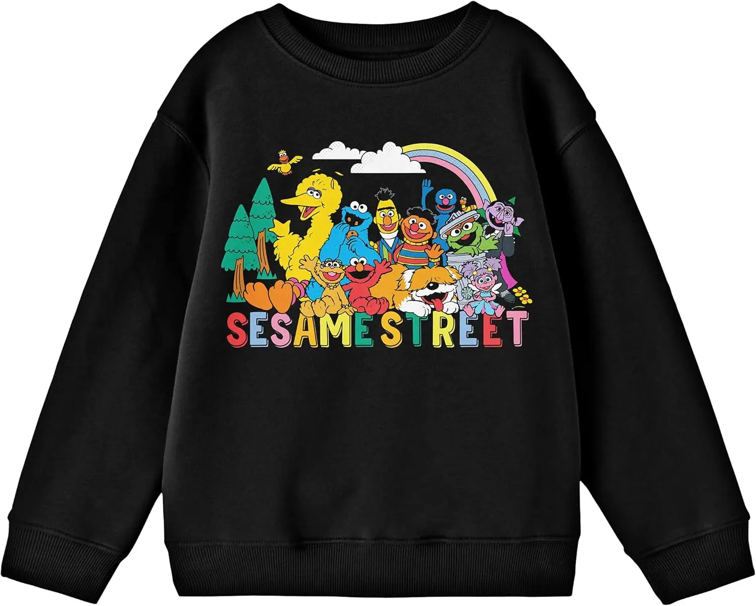 

Sesame Street Outdoor Character Group Art Crew Neck Long Sleeve Youth Black Sweatshirt