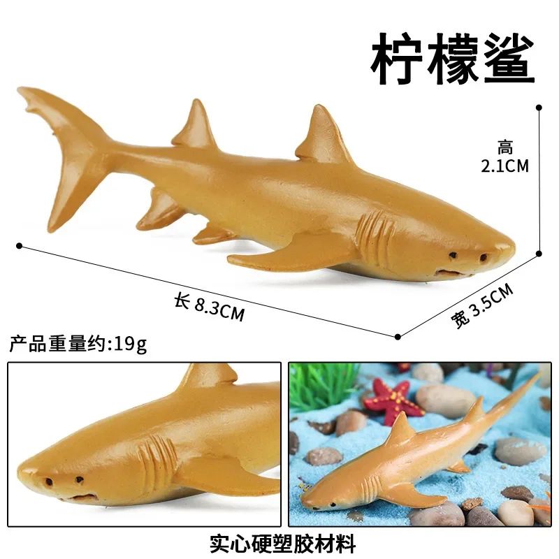Simulación de Animal en el océano, tiburón dentado gigante, ballena blanca, pulpo, tortuga, delfín, pez diablo, escena en miniatura, adorno, estatuilla de juguete