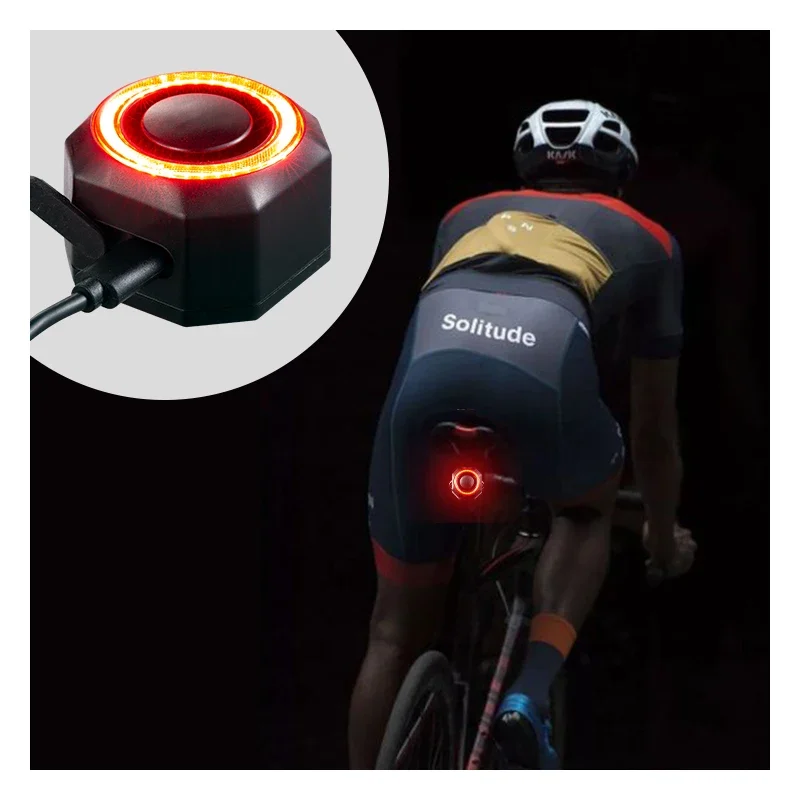 Smart LED USB Charging Bicycle Tail Light IP65 Waterproof Rear Frame Mount Rechargeable Light for E-Bikes Bicycle Accessories