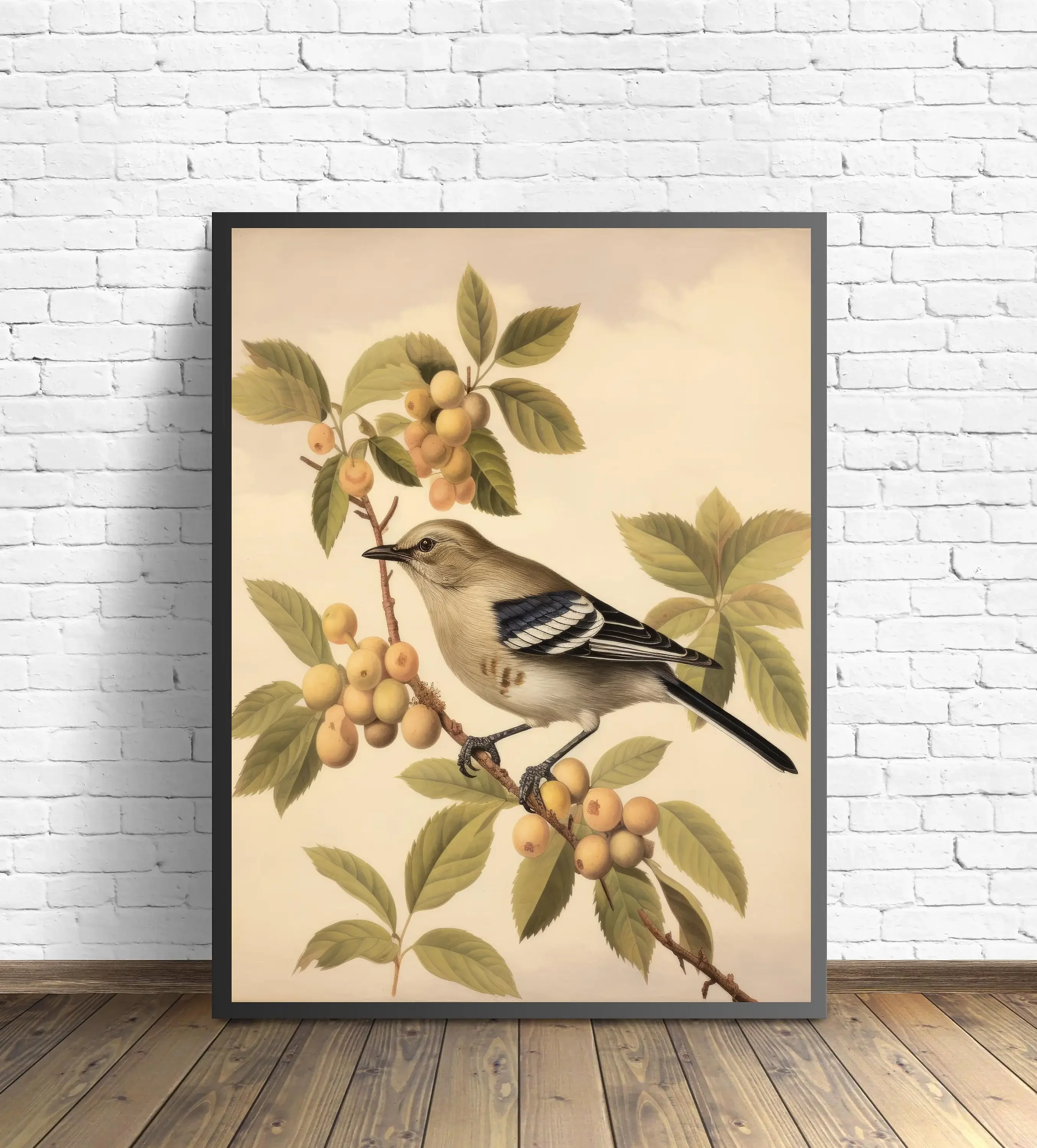 Animal Retro Blue Jay Cardinal Chickadee Falcon Starling Bird Poster Print Wall Art Pictures Canvas Painting Room Home Decor