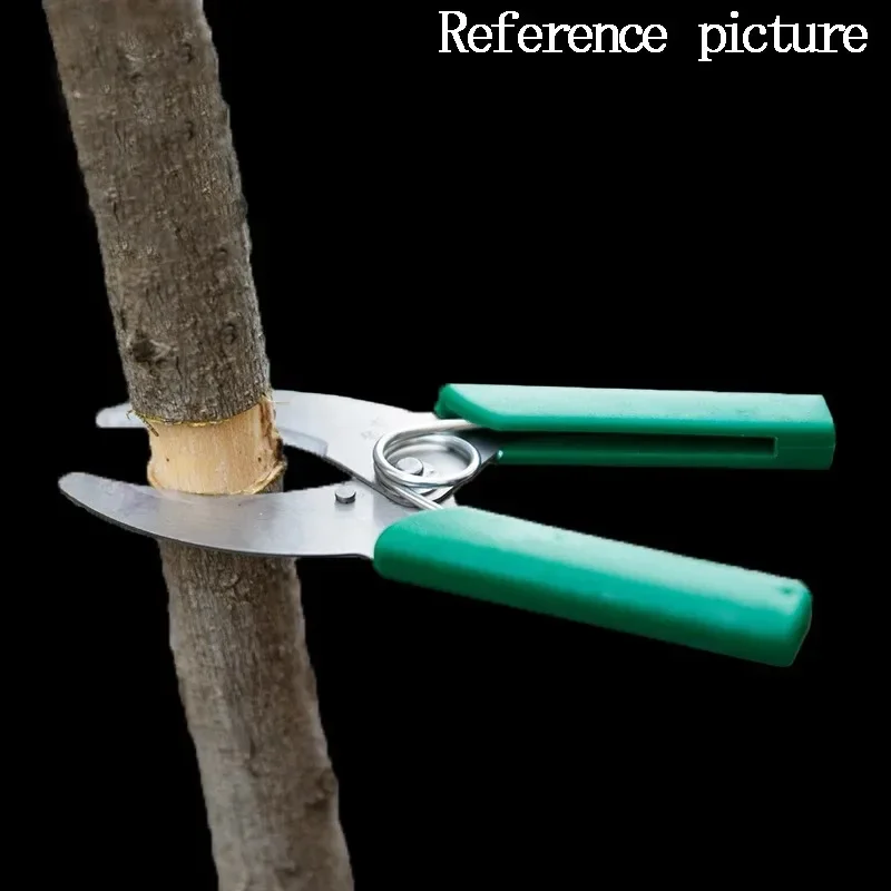 Tijeras para cortar y pelar anillos de árboles frutales, tijeras de corte de corteza de ramas de árboles de jardinería de acero inoxidable, herramientas de jardinería