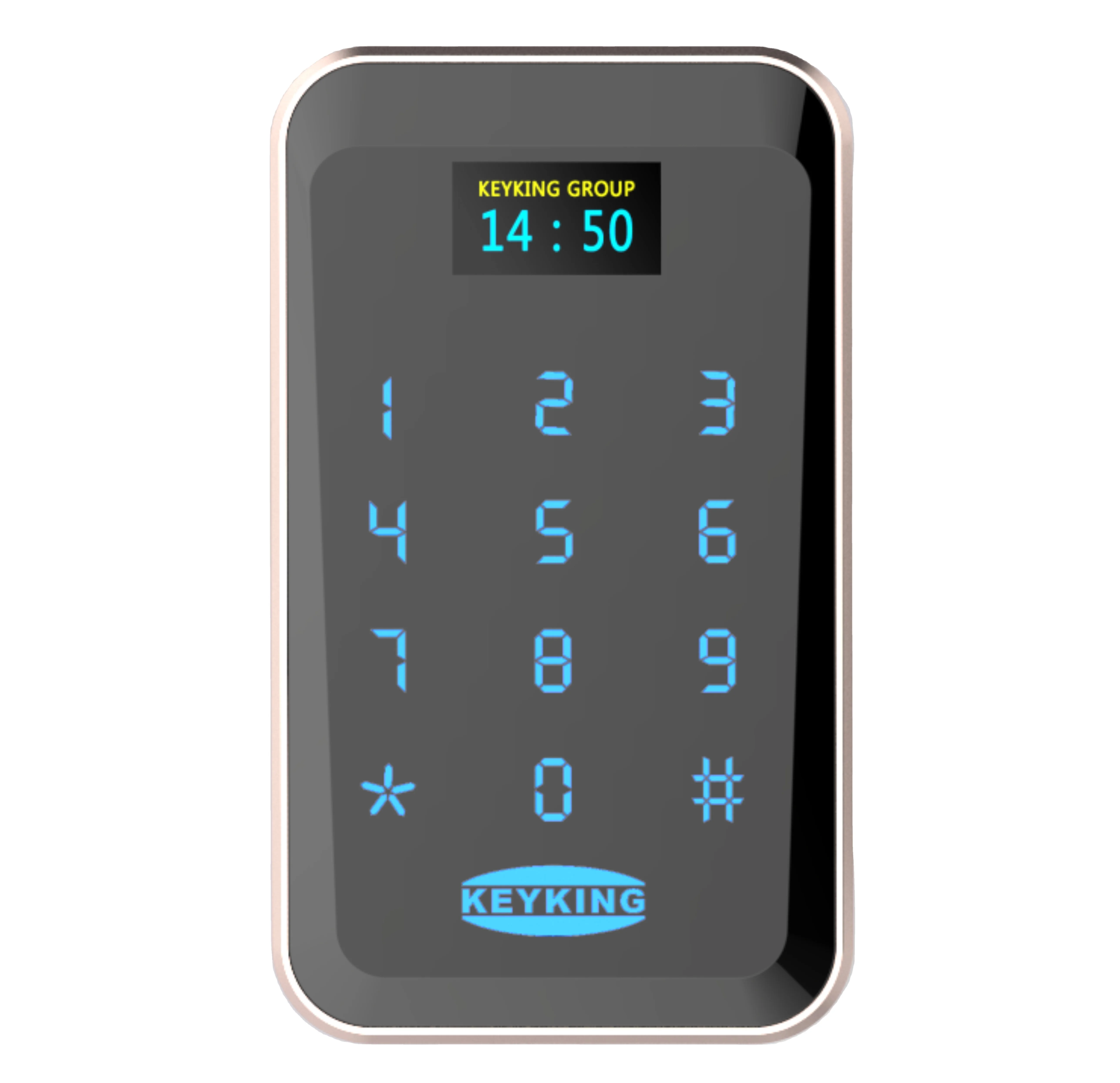 New High Quality Fashion Custom Standalone Attendance Terminal Access Reader