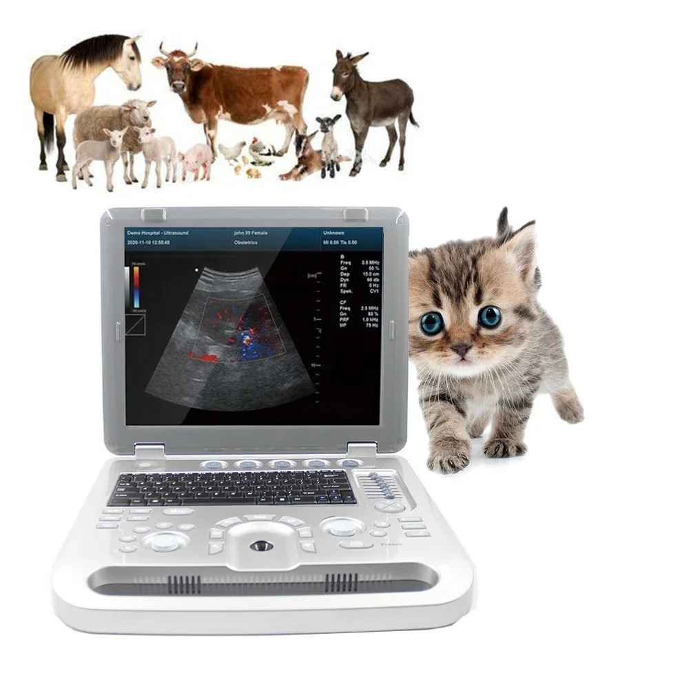 Quality Pet Dog Pig Sheep Pregnancy Color Doppler Ultrasound Diagnostic System Veterinary Ultrasound Machine