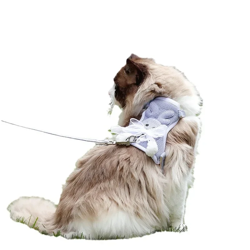 Laisse de promenade pour animal de compagnie, glaChest SFP, sortie pour chien et chat, petit chien en peluche