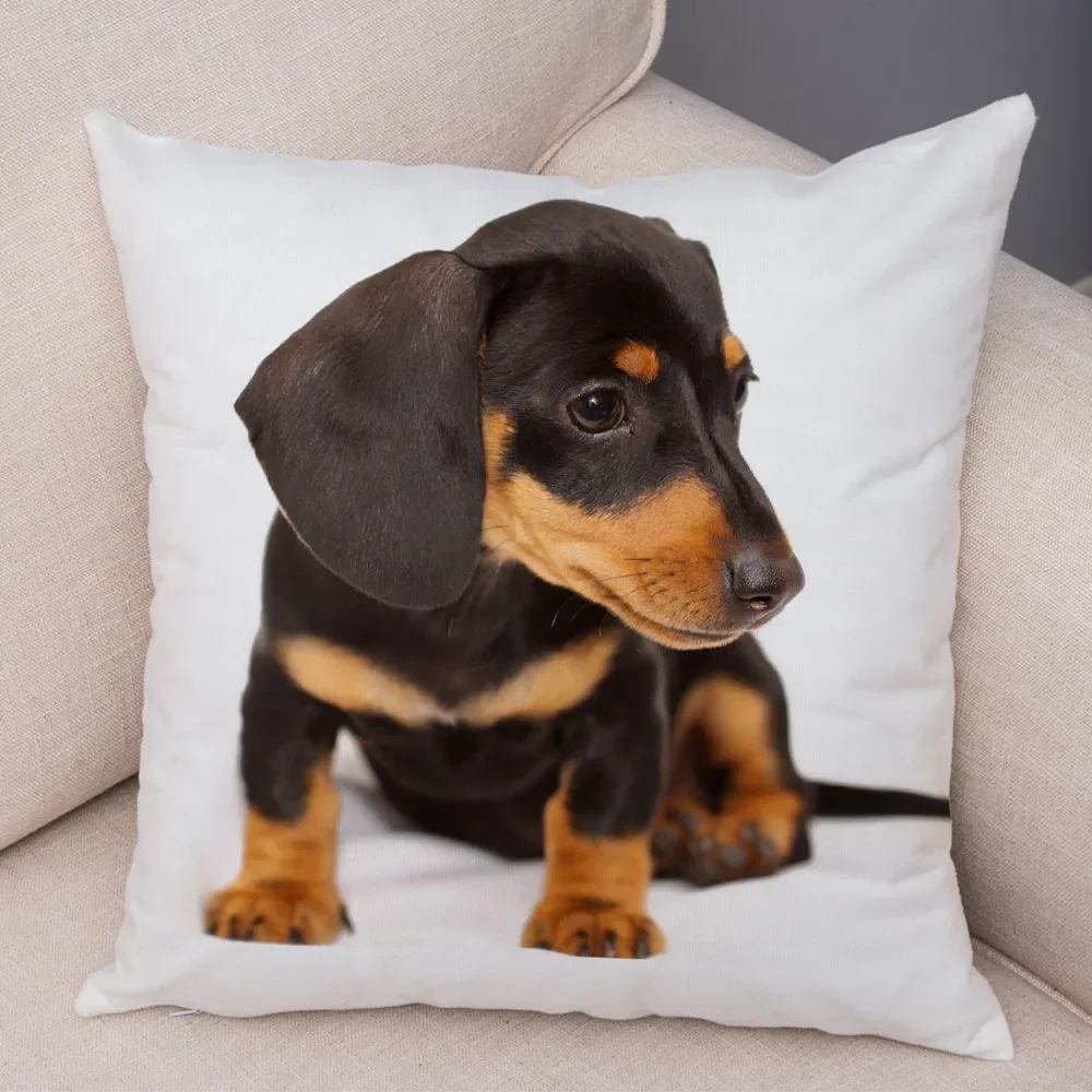 Fotografia 5: Mini capa de almofada de cachorro dachshund com estampa de pelúcia curta para decoração de sala de estar capa de almofada decorativa