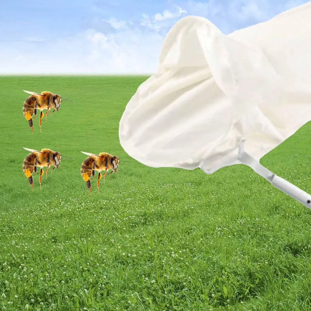 

Bee Swarming Catcher Multipurpose Beekeeping Equipment for Beekeeper Garden