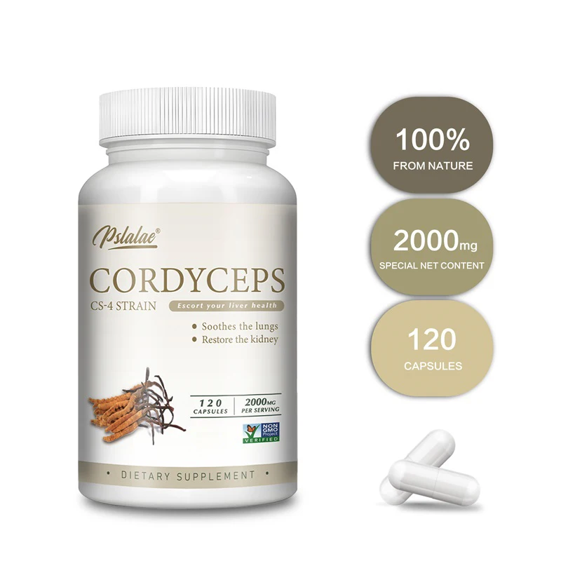 Cordyceps - Provides Overall Stamina and Energy Support, Immune Support