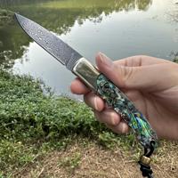 (Unlocked) Damascus Steel Outdoor Folding Knife with Built in Ball Bearings, Micro Concave Sandalwood Handle, Portable Knife