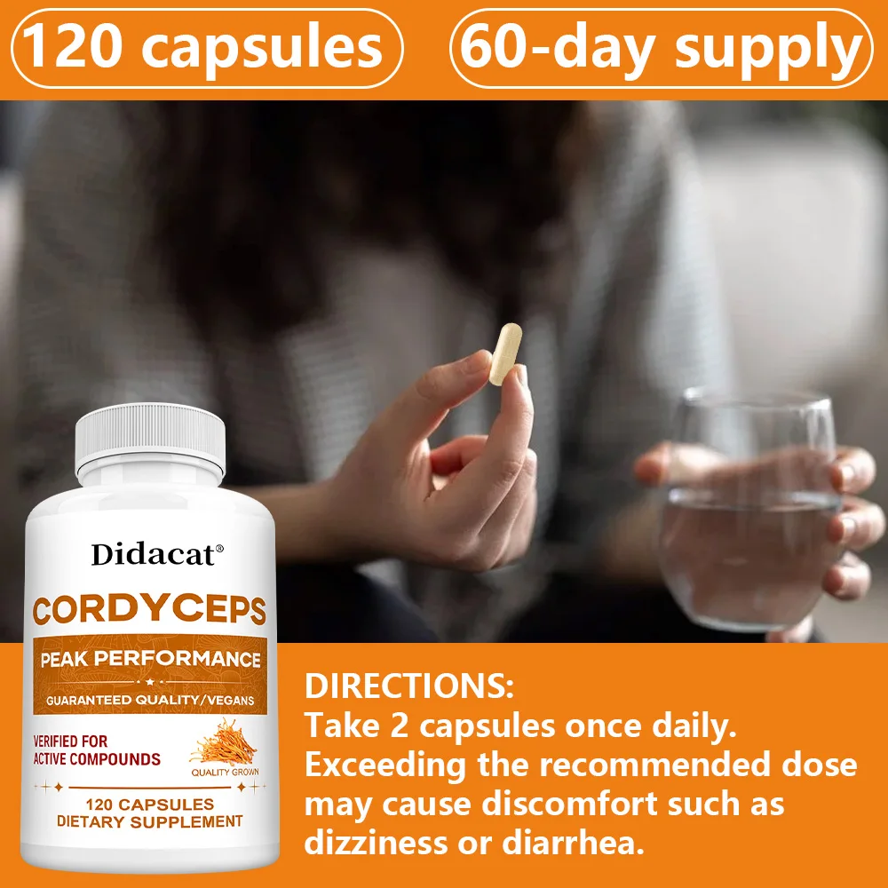 Cordyceps Mushroom Capsules 10 - Health Wellness & Nutrition Center Llc recensie en prijs
