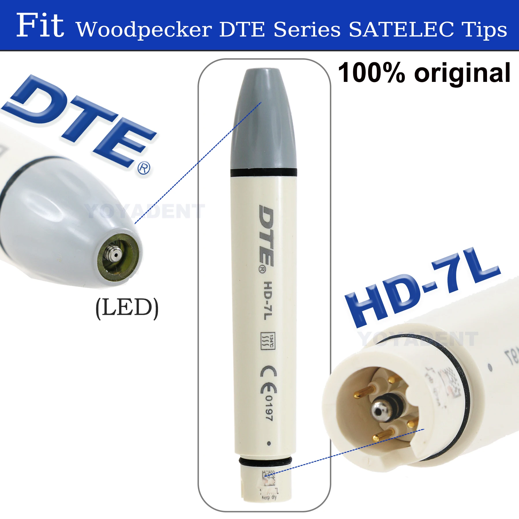 Woodpecker Dte Dent…