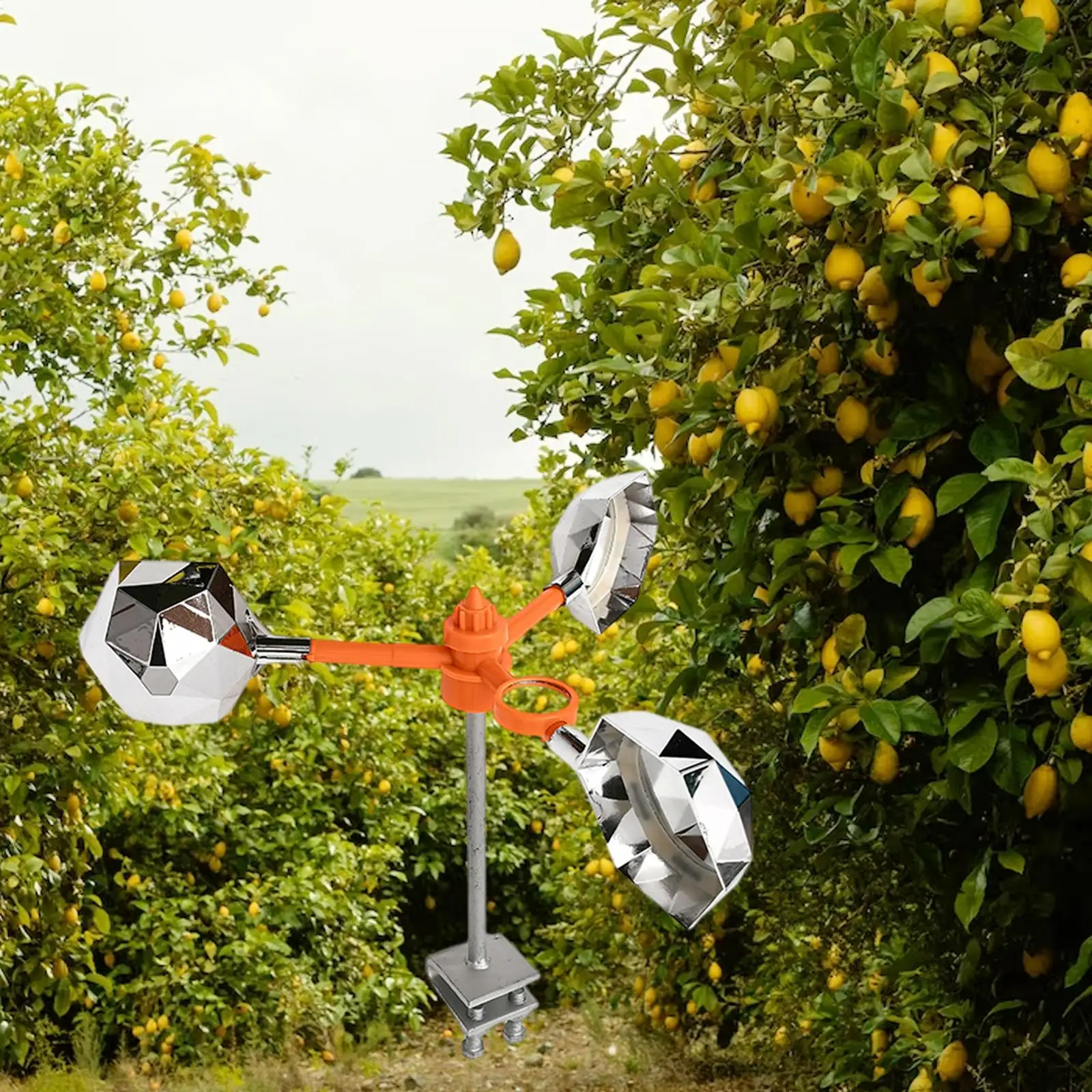 Dispositivo per uccelli Allontana gli uccelli Mantenere gli uccelli lontani Riflettente per piccioni Deterrente per uccelli per frutteto Terre agricole Giardino Prato Cortile