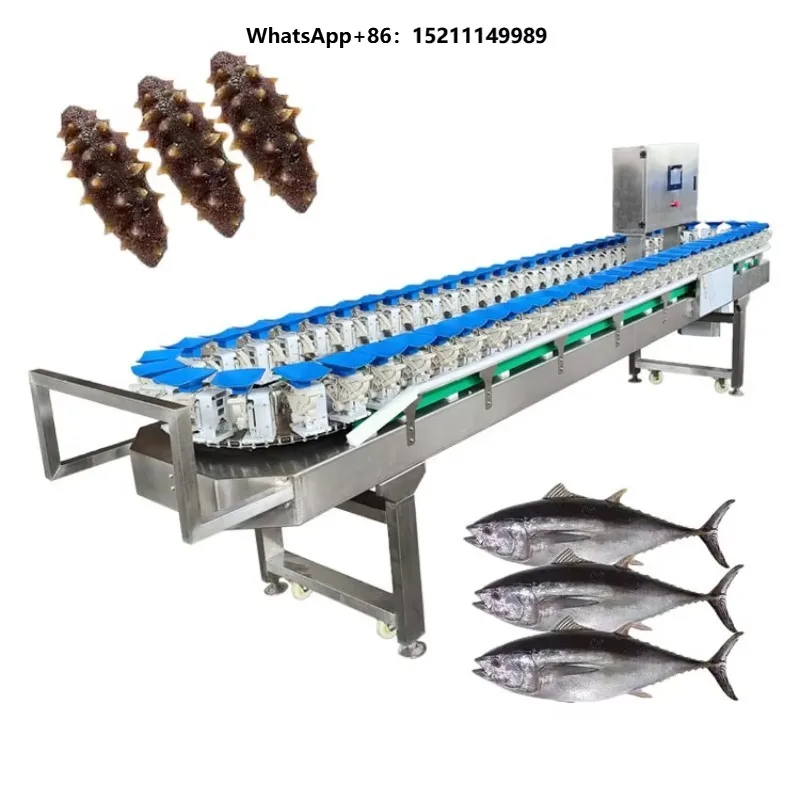 Automatic Continental Cucumber Grader Potato Orange Avocado Onion Weight Sorting Machine