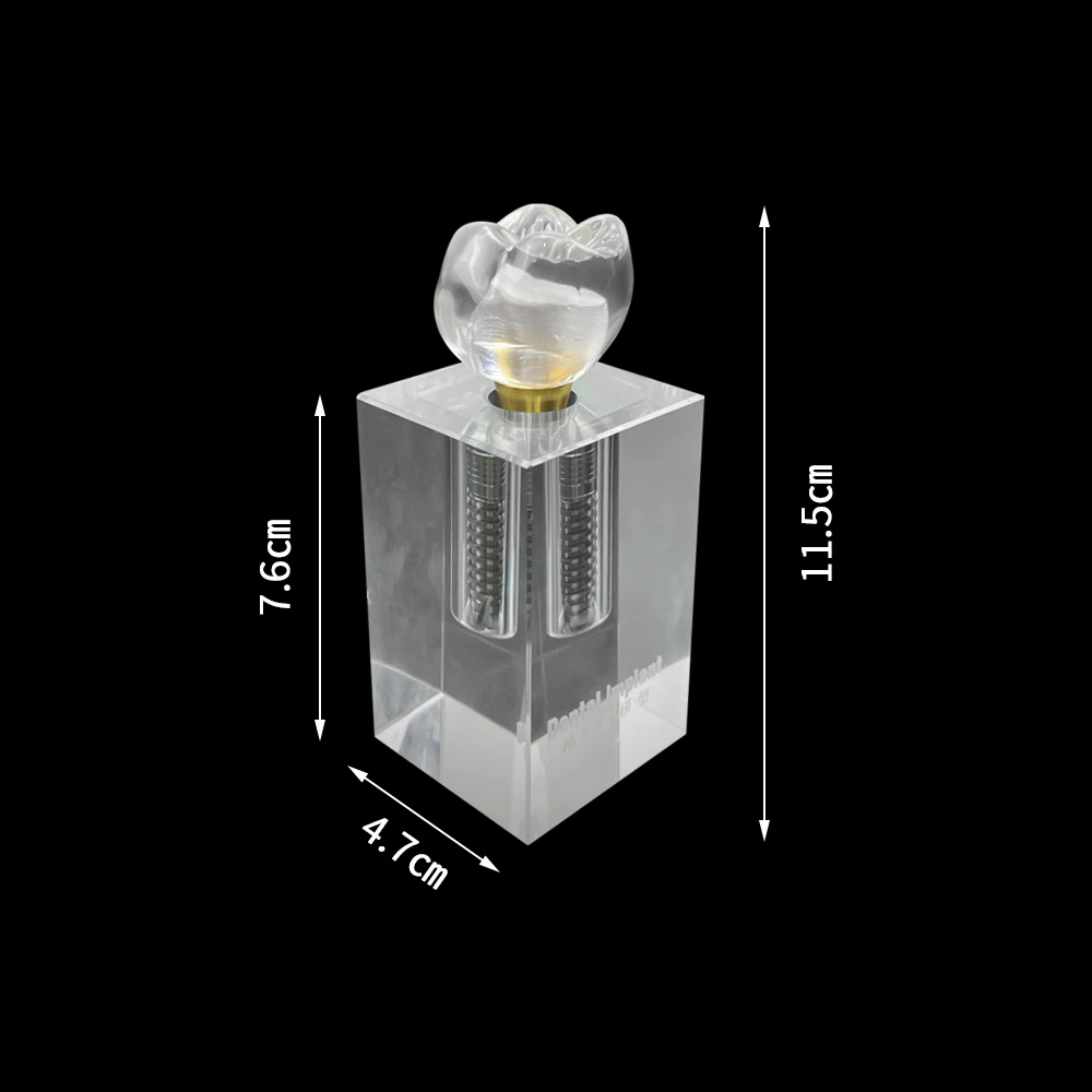 Model implantu dentystycznego monozębny Model demonstracyjny implantu kryształowego odłączany Model zębów do komunikacji z pacjentem dentystą